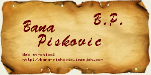 Bana Pisković vizit kartica